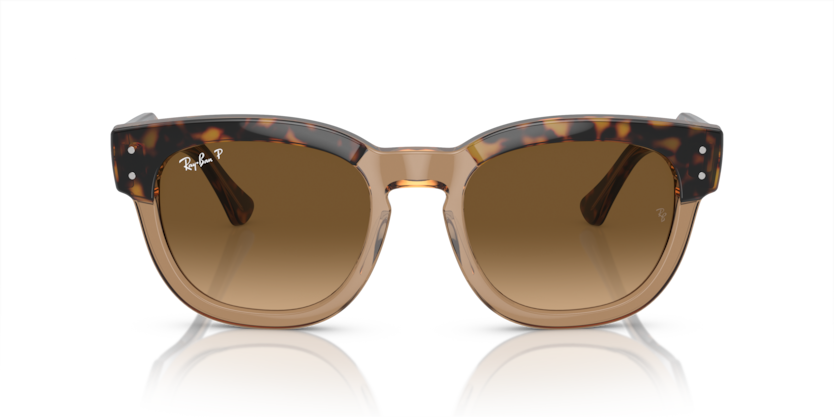 Mắt Kính RayBan • Đại lý uỷ quyền chính hãng!
