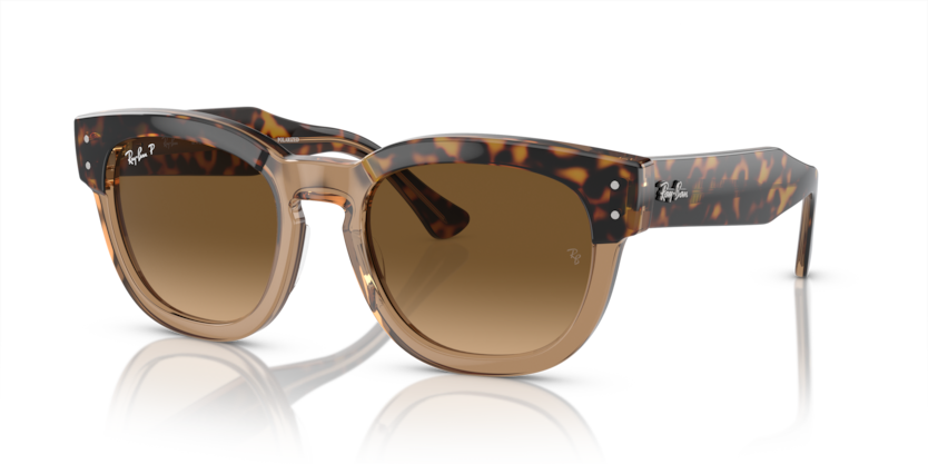 Mắt Kính RayBan • Đại lý uỷ quyền chính hãng!