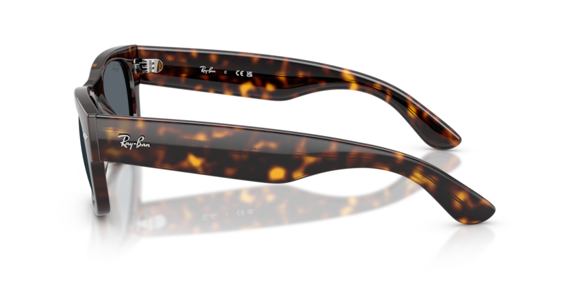Mắt Kính RayBan • Đại lý uỷ quyền chính hãng!