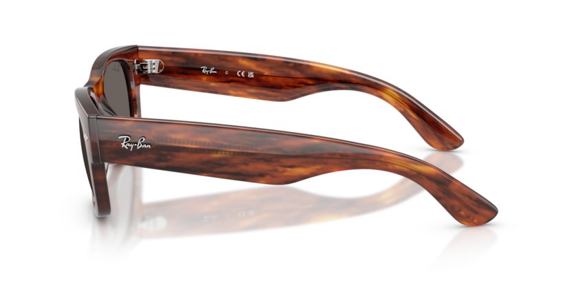 Mắt Kính RayBan • Đại lý uỷ quyền chính hãng!