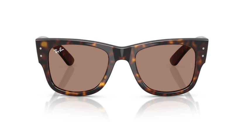 Mắt Kính RayBan • Đại lý uỷ quyền chính hãng!