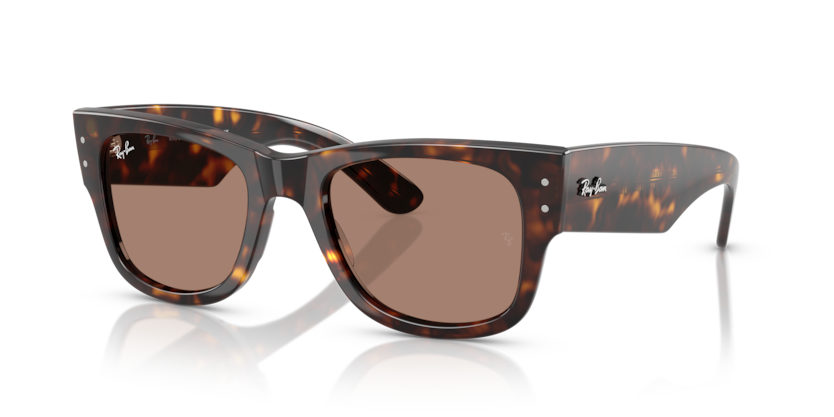 Mắt Kính RayBan • Đại lý uỷ quyền chính hãng!