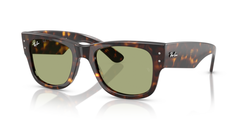 Mắt Kính RayBan • Đại lý uỷ quyền chính hãng!
