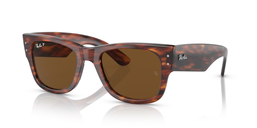 Mắt Kính RayBan • Đại lý uỷ quyền chính hãng!