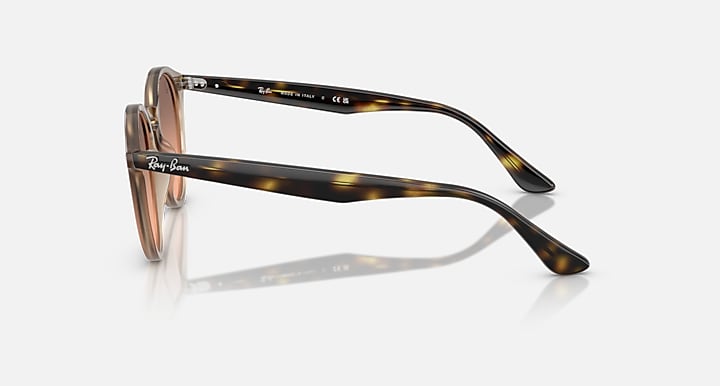 Mắt Kính RayBan • Đại lý uỷ quyền chính hãng!