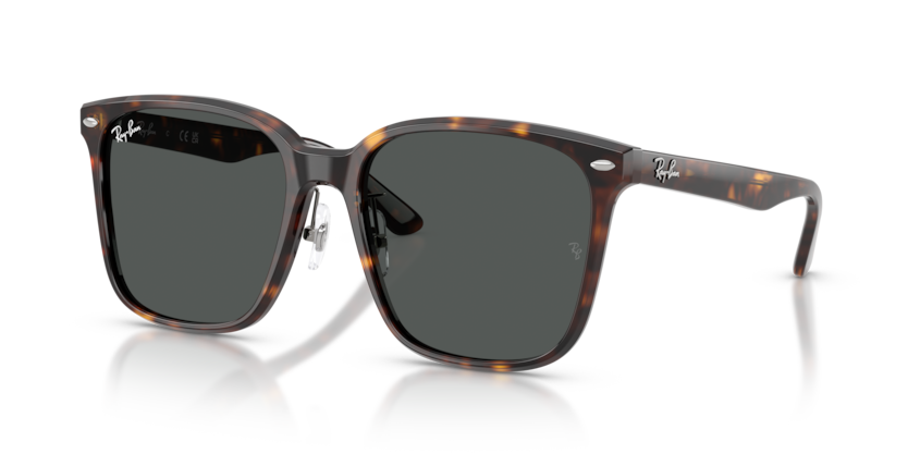 Mắt Kính RayBan • Đại lý uỷ quyền chính hãng!