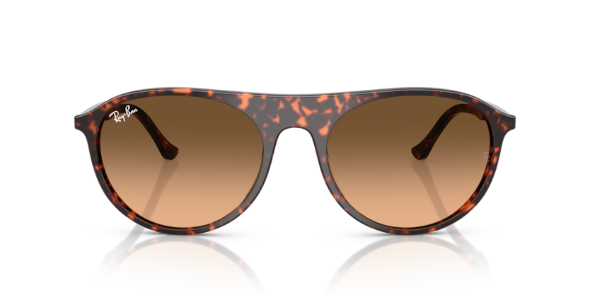 Mắt Kính RayBan • Đại lý uỷ quyền chính hãng!