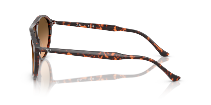 Mắt Kính RayBan • Đại lý uỷ quyền chính hãng!