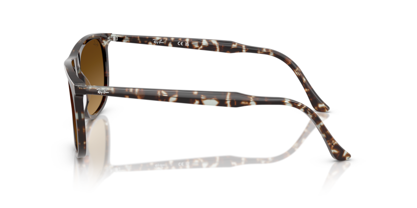 Mắt Kính RayBan • Đại lý uỷ quyền chính hãng!