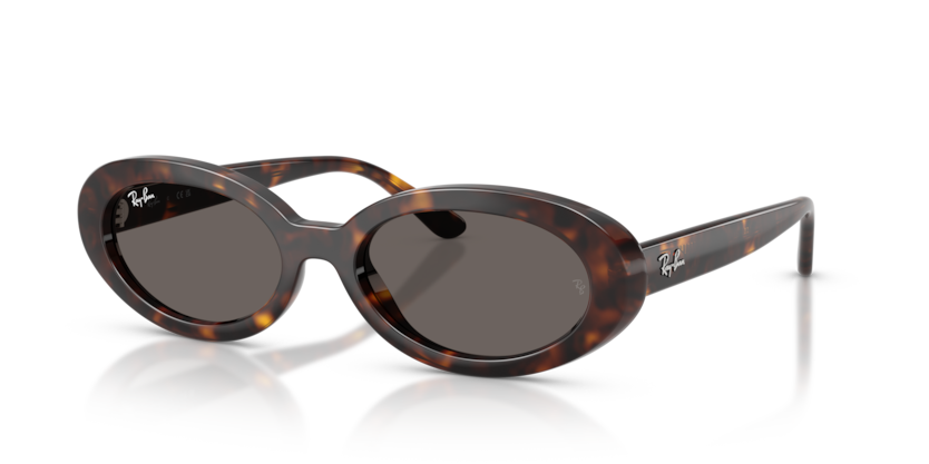 Mắt Kính RayBan • Đại lý uỷ quyền chính hãng!