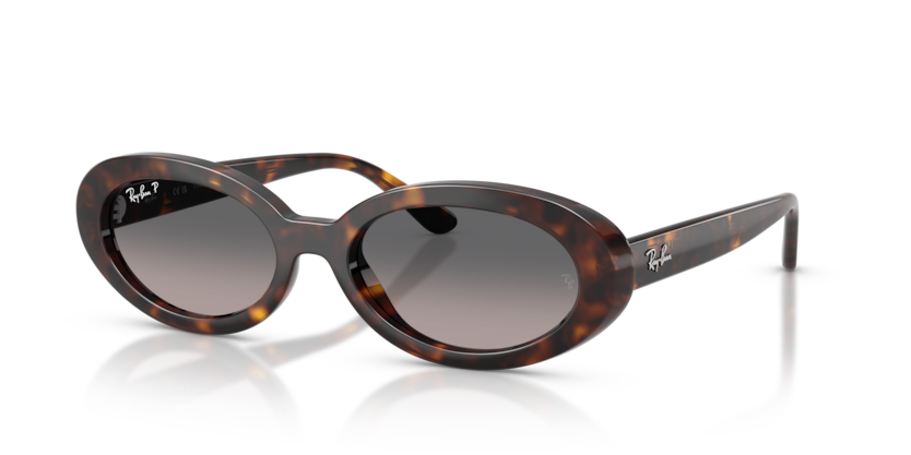 Mắt Kính RayBan • Đại lý uỷ quyền chính hãng!