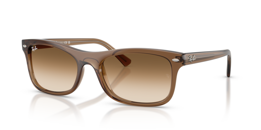 Mắt Kính RayBan • Đại lý uỷ quyền chính hãng!