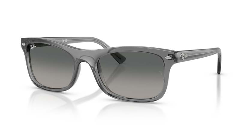 Mắt Kính RayBan • Đại lý uỷ quyền chính hãng!