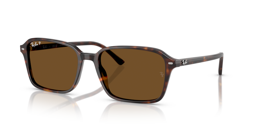 Mắt Kính RayBan • Đại lý uỷ quyền chính hãng!