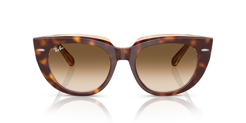 Mắt Kính RayBan • Đại lý uỷ quyền chính hãng!