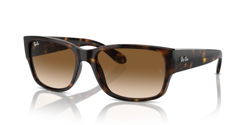 Mắt Kính RayBan • Đại lý uỷ quyền chính hãng!