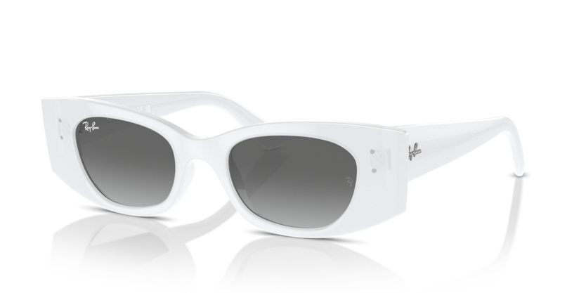 Mắt Kính RayBan • Đại lý uỷ quyền chính hãng!