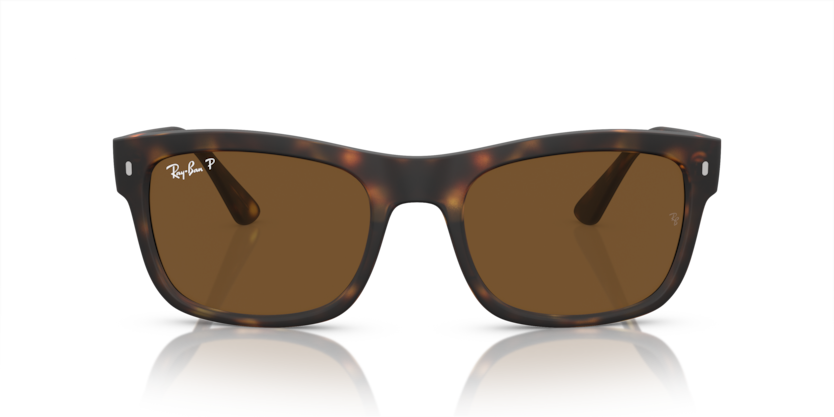 Mắt Kính RayBan • Đại lý uỷ quyền chính hãng!