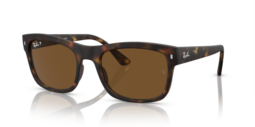 Mắt Kính RayBan • Đại lý uỷ quyền chính hãng!