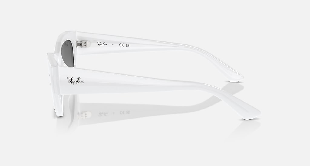 Mắt Kính RayBan • Đại lý uỷ quyền chính hãng!