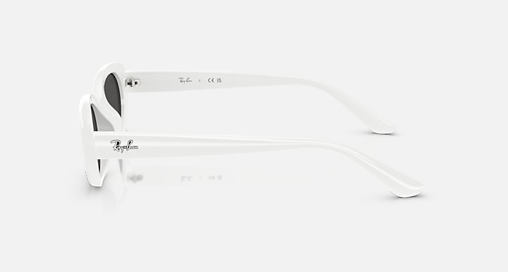 Mắt Kính RayBan • Đại lý uỷ quyền chính hãng!