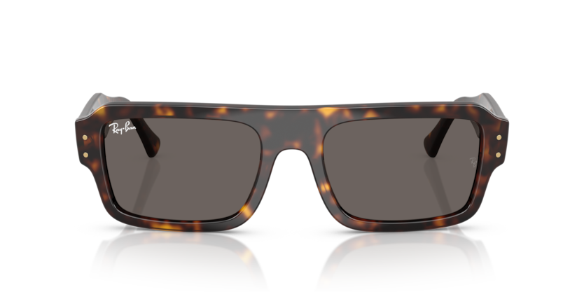 Mắt Kính RayBan • Đại lý uỷ quyền chính hãng!