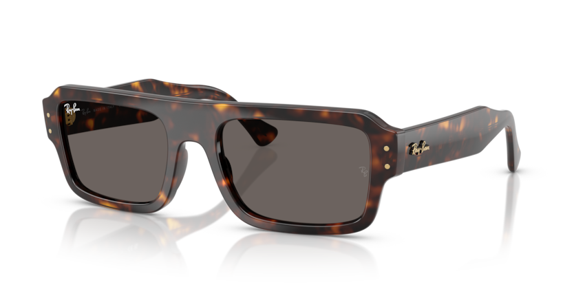 Mắt Kính RayBan • Đại lý uỷ quyền chính hãng!