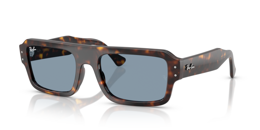 Mắt Kính RayBan • Đại lý uỷ quyền chính hãng!