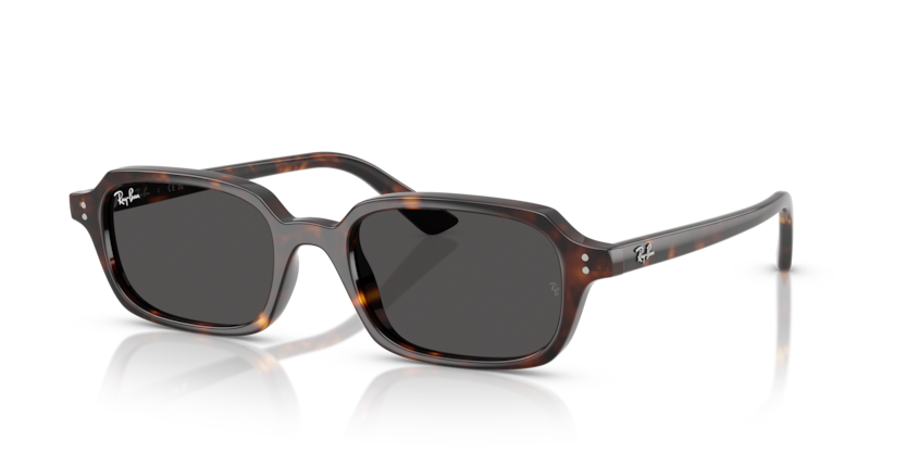 Mắt Kính RayBan • Đại lý uỷ quyền chính hãng!
