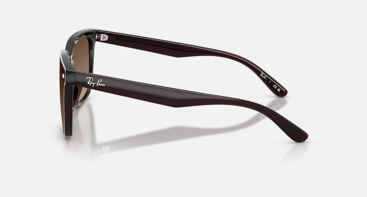 Mắt Kính RayBan • Đại lý uỷ quyền chính hãng!