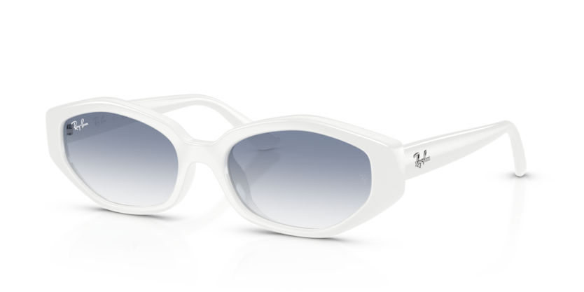 Mắt Kính RayBan • Đại lý uỷ quyền chính hãng!