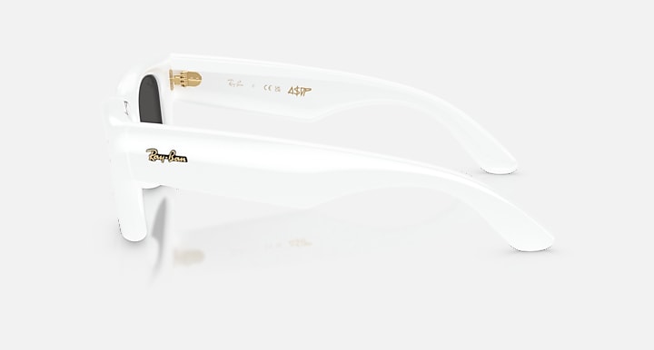 Mắt Kính RayBan • Đại lý uỷ quyền chính hãng!