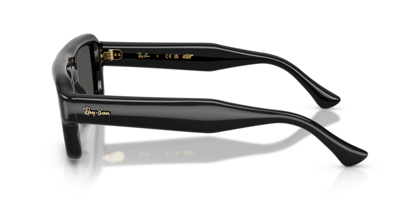 Mắt Kính RayBan • Đại lý uỷ quyền chính hãng!