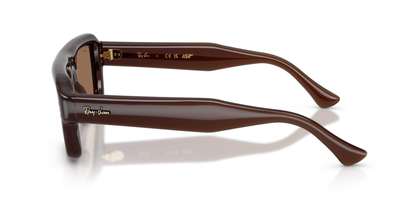 Mắt Kính RayBan • Đại lý uỷ quyền chính hãng!