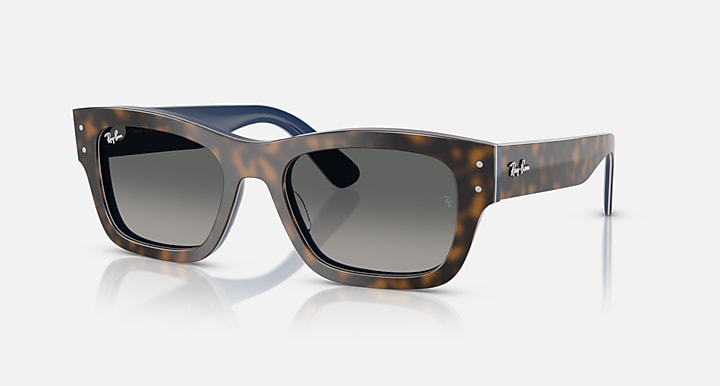 Mắt Kính RayBan • Đại lý uỷ quyền chính hãng!