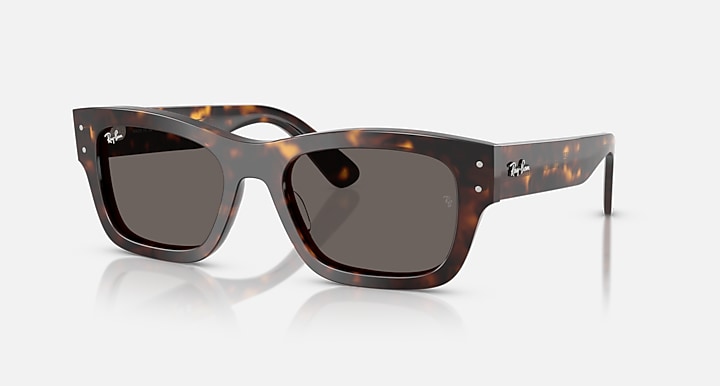 Mắt Kính RayBan • Đại lý uỷ quyền chính hãng!