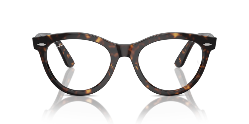 Mắt Kính RayBan • Đại lý uỷ quyền chính hãng!