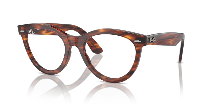 Mắt Kính RayBan • Đại lý uỷ quyền chính hãng!