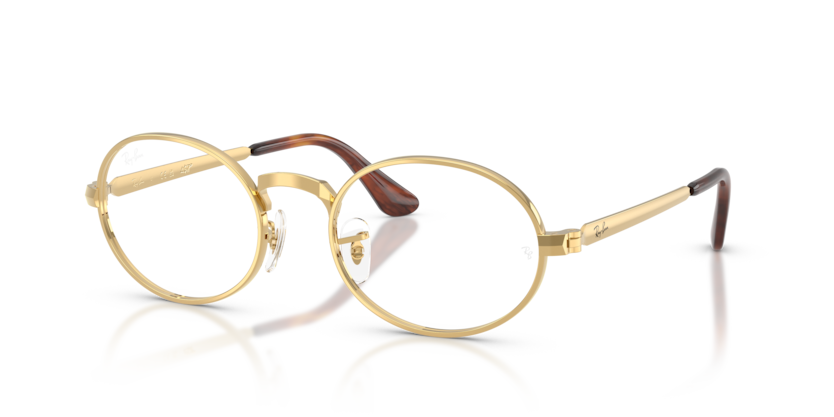 Mắt Kính RayBan • Đại lý uỷ quyền chính hãng!