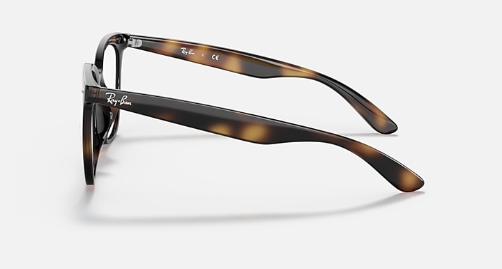 Mắt Kính RayBan • Đại lý uỷ quyền chính hãng!