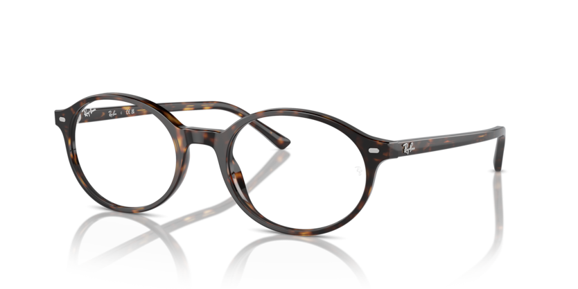 Mắt Kính RayBan • Đại lý uỷ quyền chính hãng!