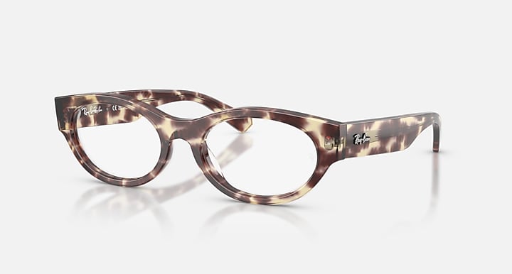 Mắt Kính RayBan • Đại lý uỷ quyền chính hãng!