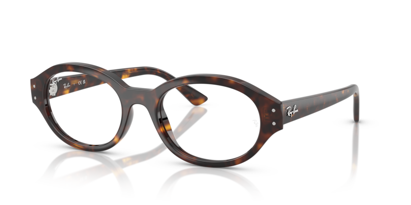 Mắt Kính RayBan • Đại lý uỷ quyền chính hãng!