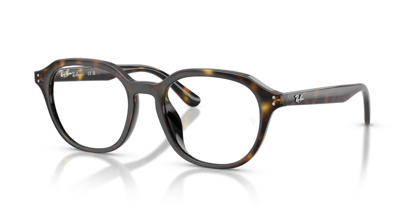 Mắt Kính RayBan • Đại lý uỷ quyền chính hãng!