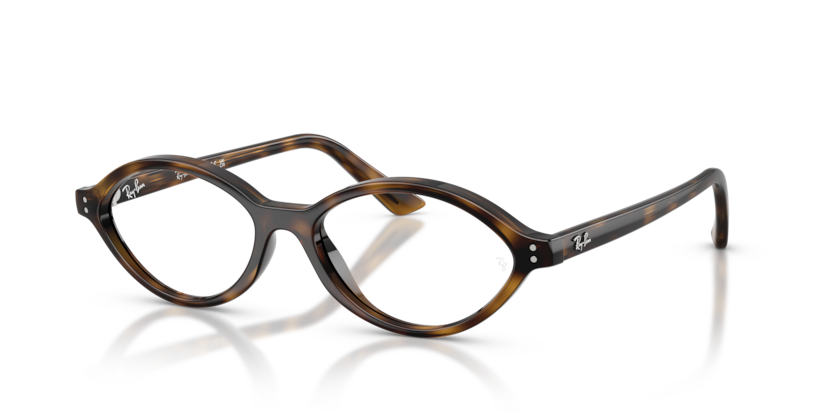 Mắt Kính RayBan • Đại lý uỷ quyền chính hãng!