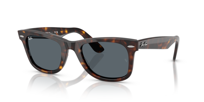 Mắt Kính RayBan • Đại lý uỷ quyền chính hãng!