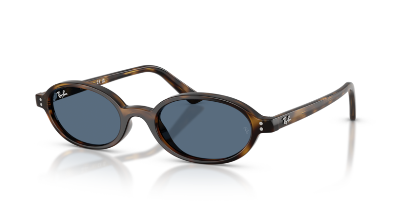 Mắt Kính RayBan • Đại lý uỷ quyền chính hãng!