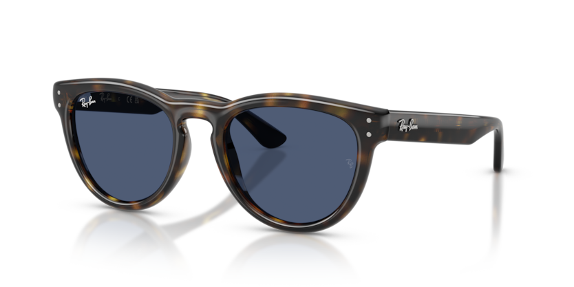 Mắt Kính RayBan • Đại lý uỷ quyền chính hãng!