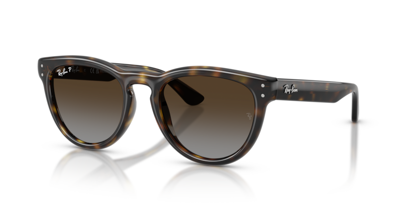 Mắt Kính RayBan • Đại lý uỷ quyền chính hãng!