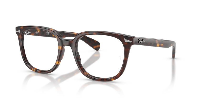 Mắt Kính RayBan • Đại lý uỷ quyền chính hãng!